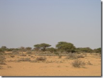 SOMALIA 093