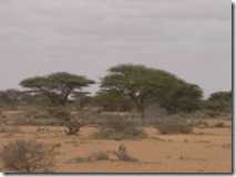 SOMALIA 123