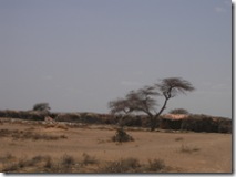 SOMALIA 178