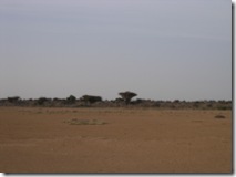 SOMALIA2 175