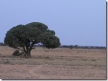 SOMALIA2 177